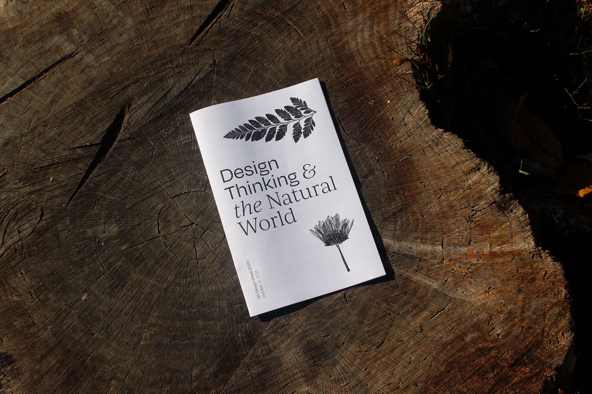 Design Thinking & The Natural World, Workshop + Zine – NORA